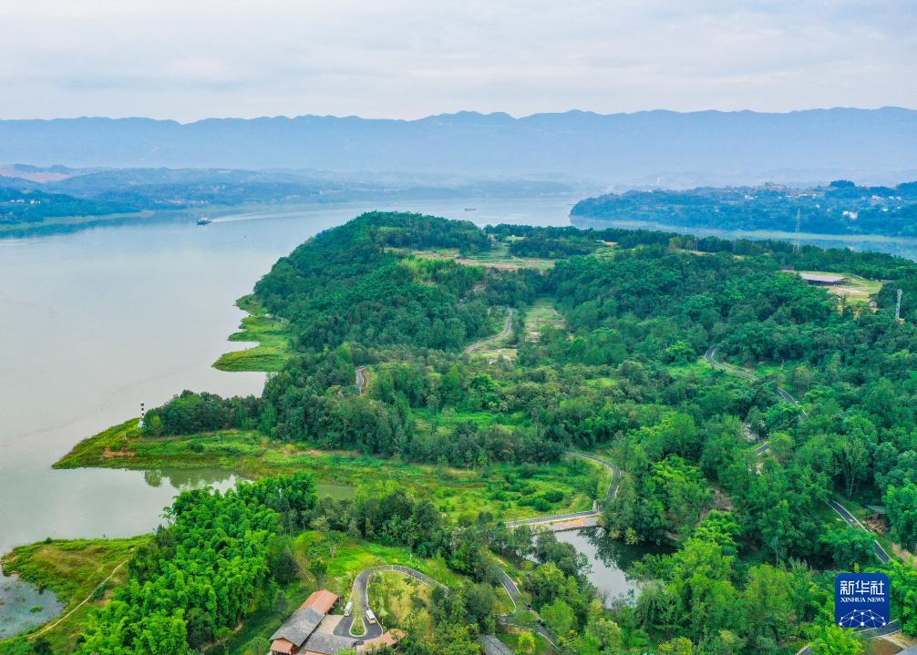 搜狗浏览器